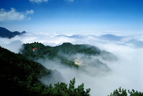 南昌到廬山1日游天天發團，經典純玩，還原純凈旅游，美廬別墅+會址+花徑+錦繡谷+三寶樹